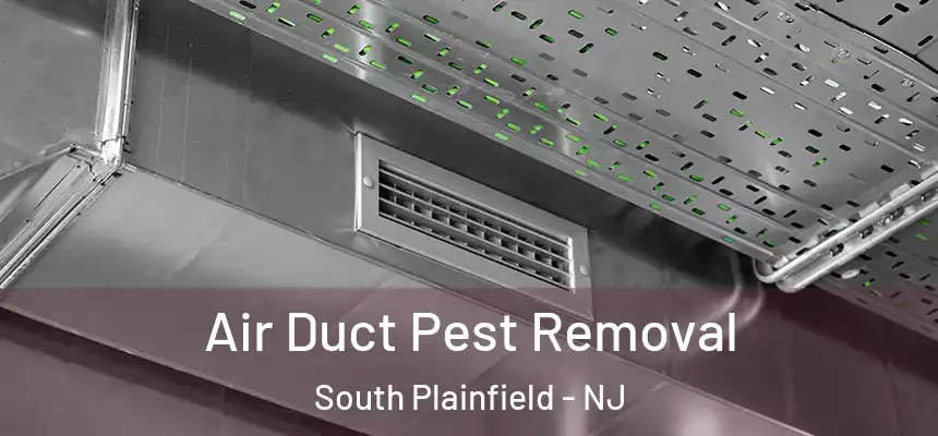  Air Duct Pest Removal South Plainfield - NJ