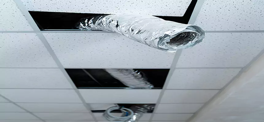 Our Air Duct Pet Hair Removal Services in South Plainfield, NJ