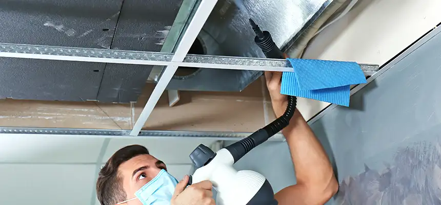 Our Air Duct Rodent Removal Services in South Plainfield, NJ