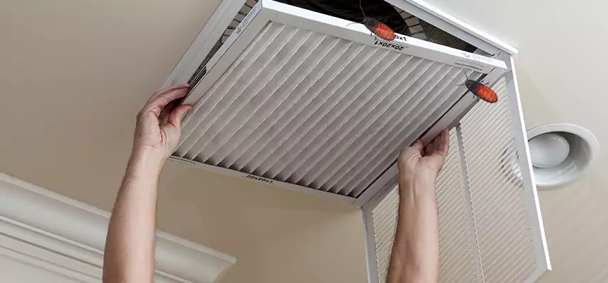 Our Insect Removal from Air Ducts Services in South Plainfield, NJ