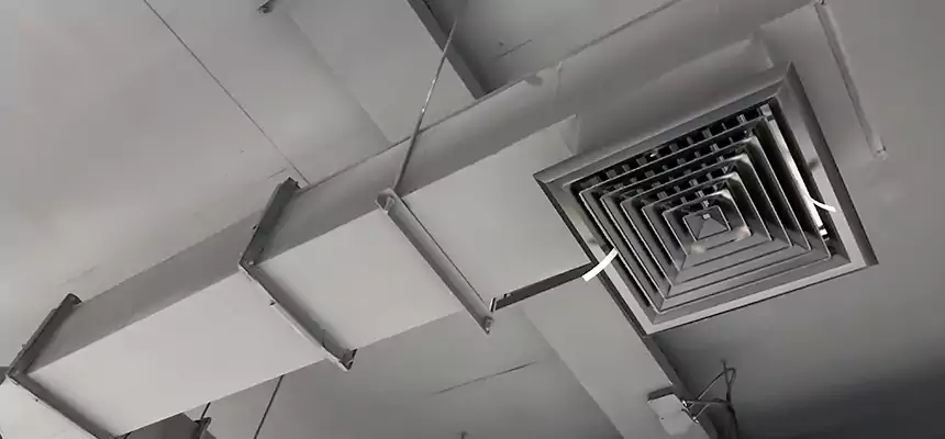 Our Rodent Droppings In Vents Services in South Plainfield, NJ