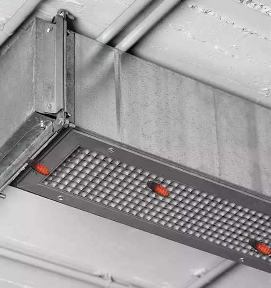 About Air Duct Cockroach Removal in South Plainfield, NJ