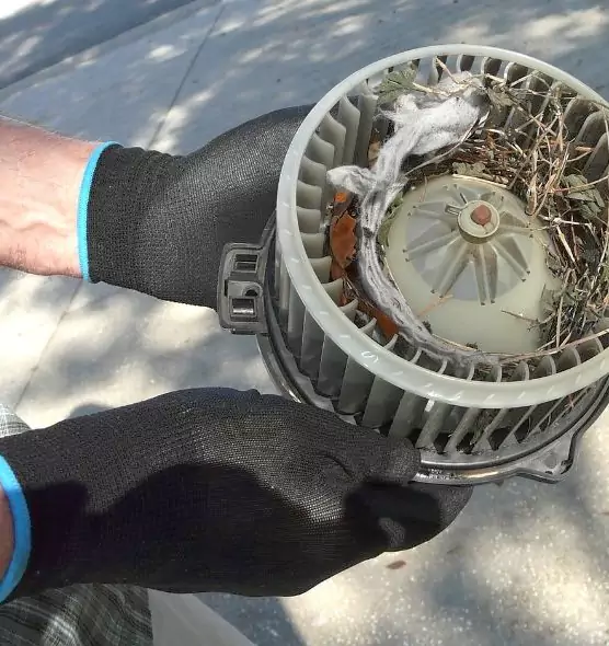 About Air Duct Mice Removal in South Plainfield, NJ