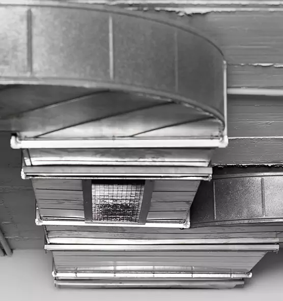 Professional Air Duct Pest Removal in South Plainfield, NJ