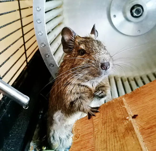 Why Homeowners & Businesses Trust Us South Plainfield, NJ