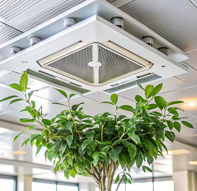 Why Homeowners & Businesses Trust Us in South Plainfield, NJ?