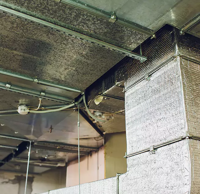 Why Homeowners & Businesses Trust Us in South Plainfield, NJ?